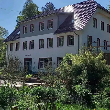 Guest house Alte Muehle *